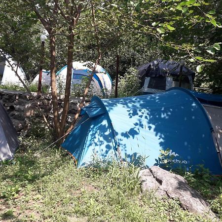 Hotel Kamp Seosko Domacinstvo Radman Herceg Novi Zewnętrze zdjęcie
