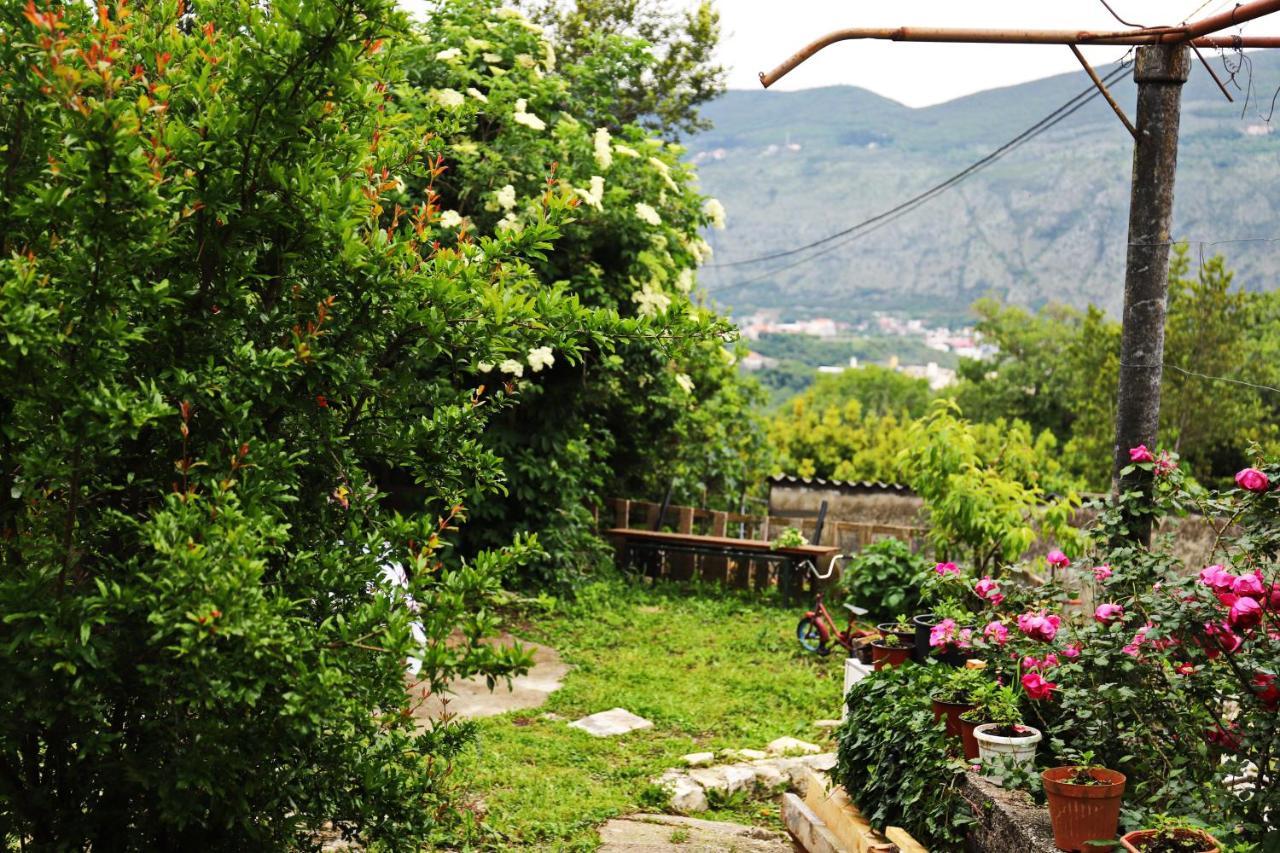Hotel Kamp Seosko Domacinstvo Radman Herceg Novi Zewnętrze zdjęcie