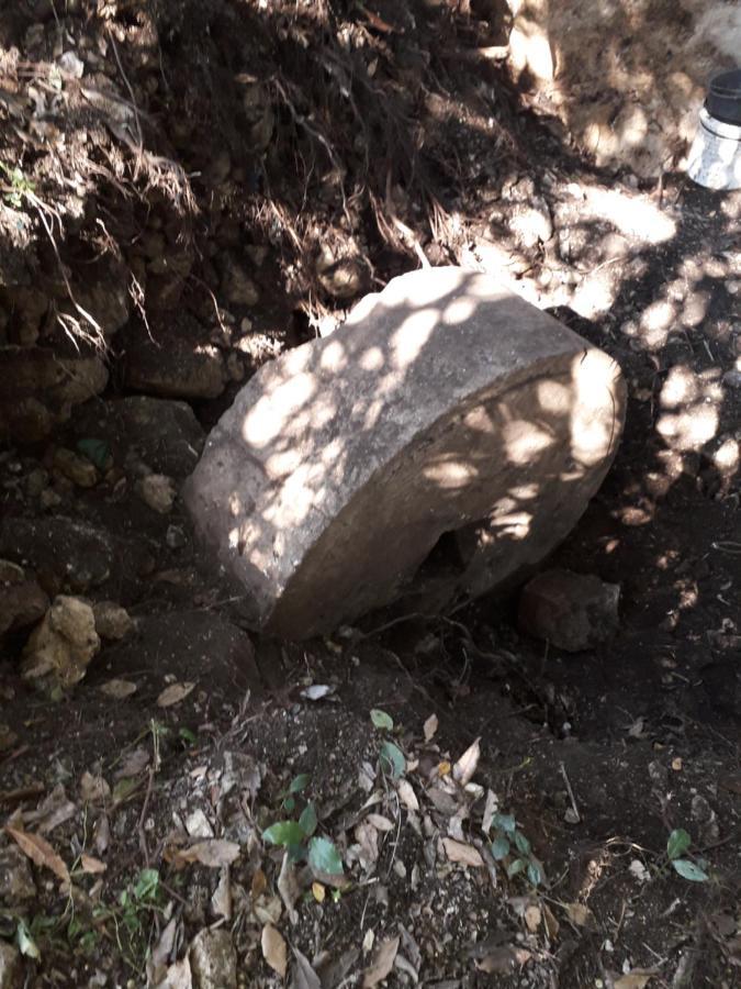 Hotel Kamp Seosko Domacinstvo Radman Herceg Novi Zewnętrze zdjęcie