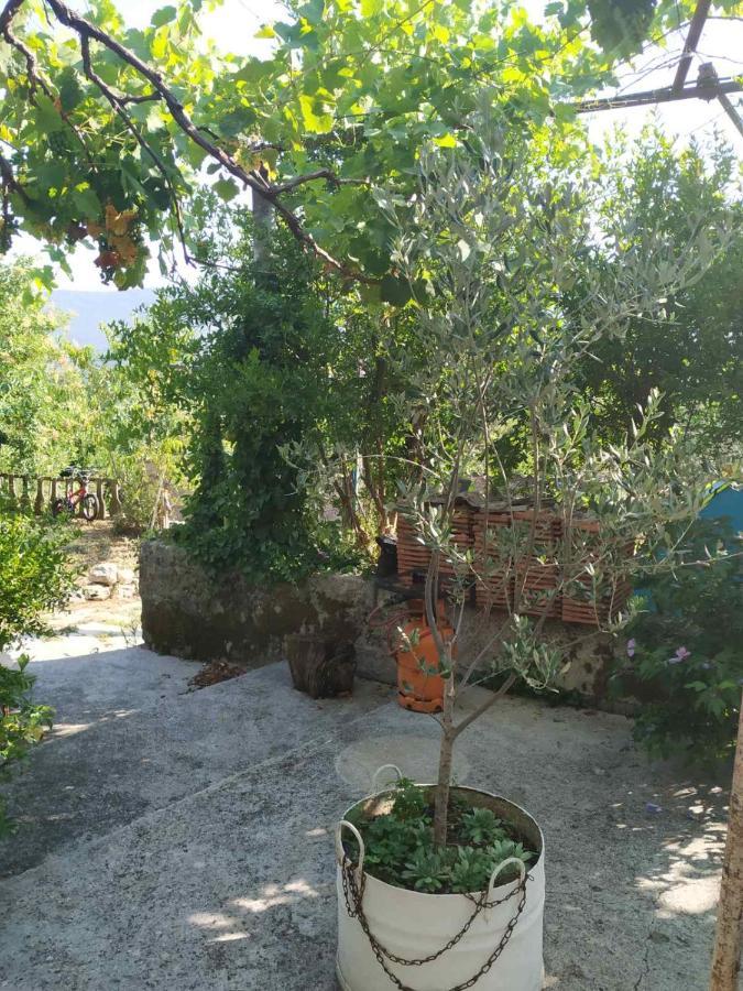 Hotel Kamp Seosko Domacinstvo Radman Herceg Novi Zewnętrze zdjęcie