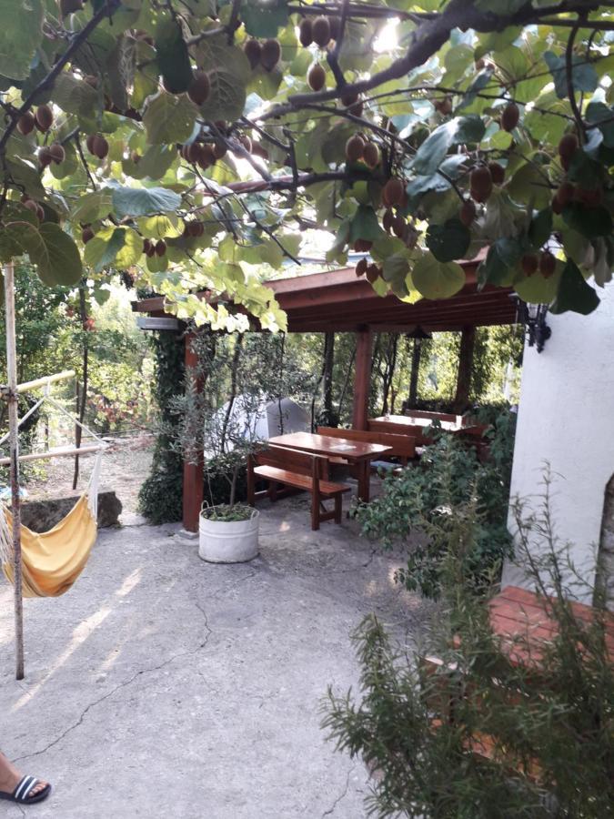 Hotel Kamp Seosko Domacinstvo Radman Herceg Novi Zewnętrze zdjęcie